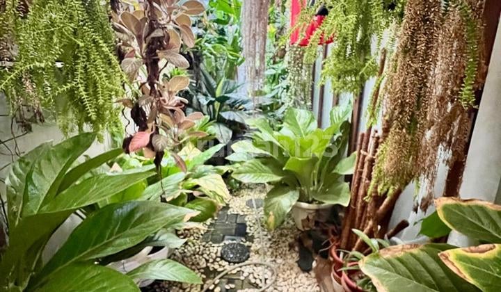 Rumah Asri Posisi Hook Dalam Area Prime Bintaro Jaya di Cluster Discovery Siap Huni