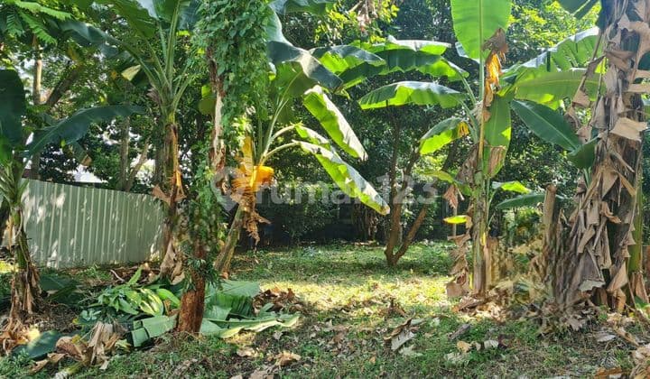 Titihan Permata 365 M2 Tanah Kebun