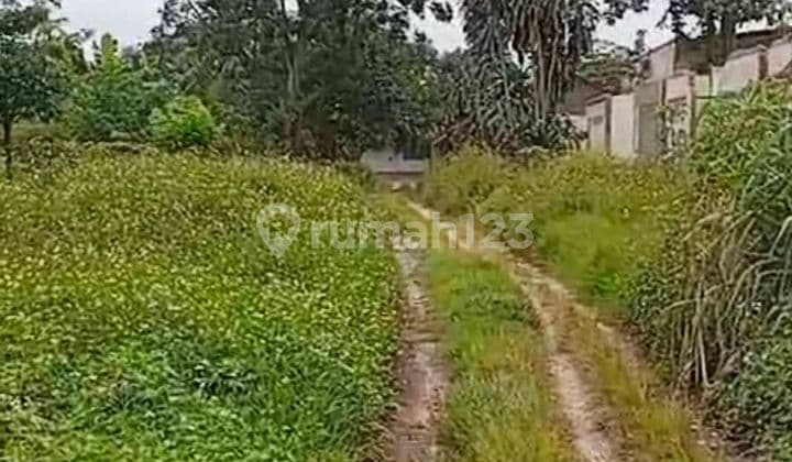 Tanah Padat Murah Di Legok Tangerang Banten