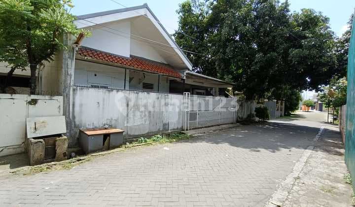 Harus Cepat Terjual Rumah Bagus Untuk Tempat Usaha - Di Cipadu