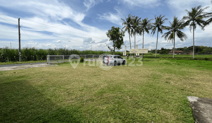 Wedding Hall Mini Forrest Multifungsi Dekat Bandara Internasional Jogja