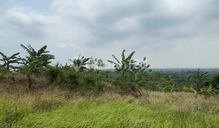 Dijual Tanah di Daerah Tembalang Semarang