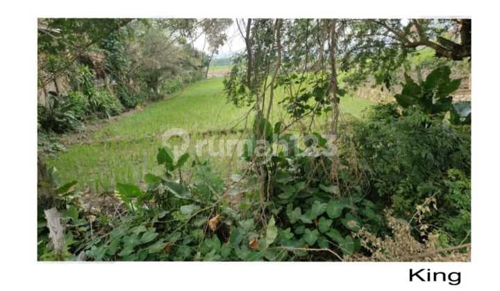 Tanah Pinggir Jalan Raya Strategis Deket Pabrik