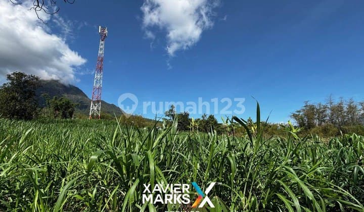 V1 Tanah Lokasi Strategis di Panderman Atas Oro Oro Ombo Batu