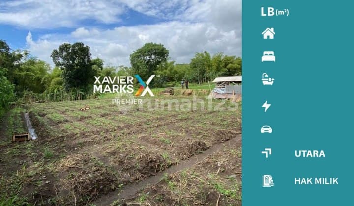 Dijual Tanah Murah di Landungsari Dau Malang Prospek Bisnis Bagus
