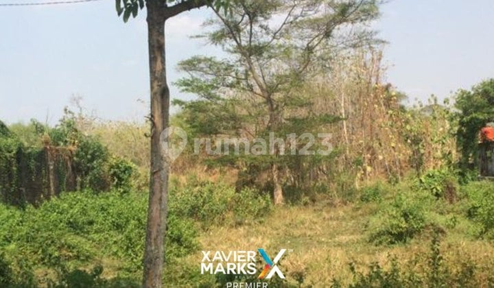 V1 Dijual Tanah Kavling Strategis di Ngasinan Padangan Bojonegoro