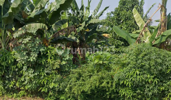 Dijual Kavling Tanah Strategis Di Kukusan