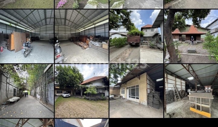 For Sale Below Market Price Mastrip Bogagin