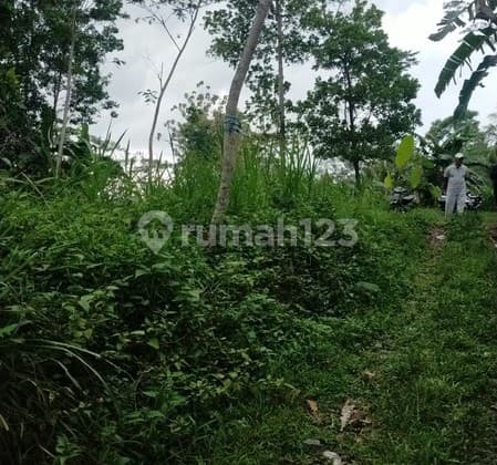 Dijual Tanah 1.8 Hektar di Argomulyo, Cangkringan, Sleman, Potensi Wisata/Resort