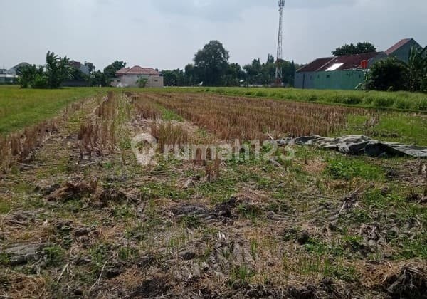 Dijual Tanah Strategis 1.537 Meter Persegi di Wirokerten Banguntapan Sangat Cocok untuk Perumahan