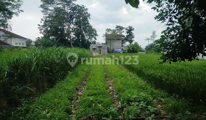 Tanah 245 Meter Persegi Utara Stadion Maguwoharjo Lokasi Strategis & Asri di Wedomartani Sleman