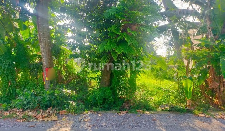 Miliki Tanah 1197 Meter Persegi Lokasi Dekat Stadion Maguwoharjo, Depok, Sleman