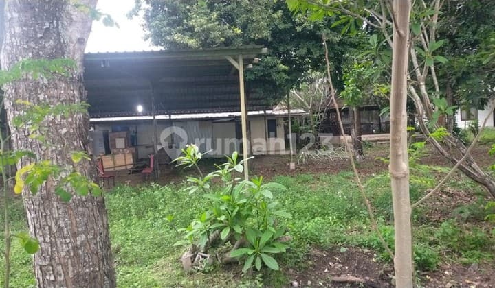 Rumah Tinggal Luas 1314 Meter Persegi di Tawang Sari, Klaten , Cocok untuk Homestay atau Restoran.