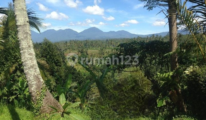 Turun Harga Tanah Siap Bangun Di Lokasi Wisata Payangan Bali
