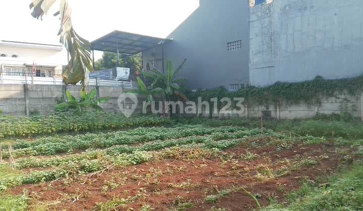 Tanah Bentuk Persegi Siap Bangun Pinggir Jalan Di Graha Bintaro