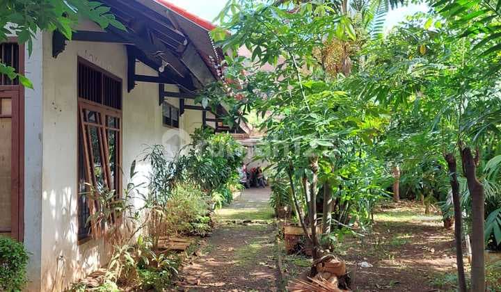 Jual Cepat Rumah Lama Halaman Luas Nego Sampai Deal di Ps Minggu