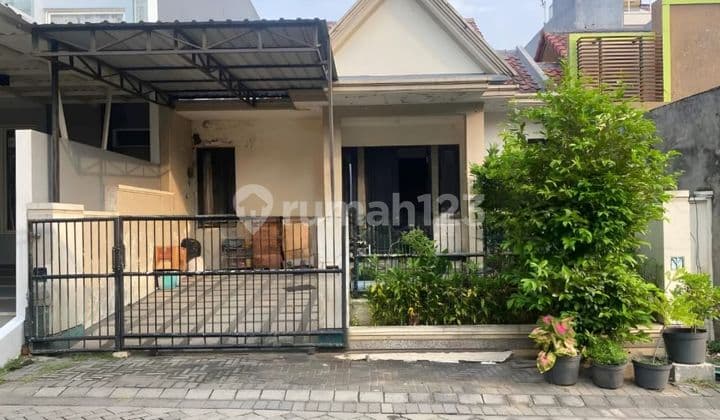Affordable House in Citraland Utama Cluster Surabaya
