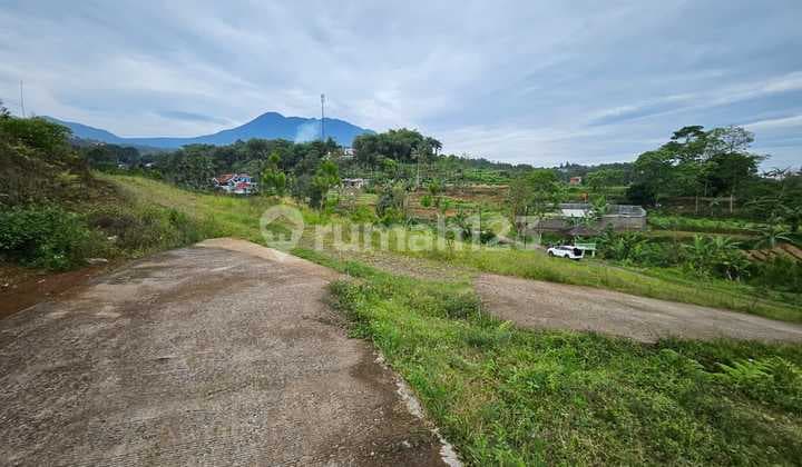 Dijual Tanah Shm Di Cisarua Puncak Bogor