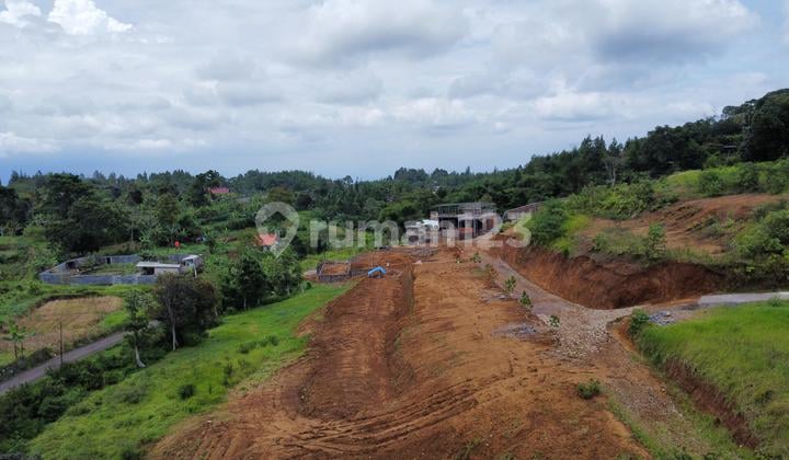 Dijual Tanah Luas 1500M² Dicisarua Puncak Bogor