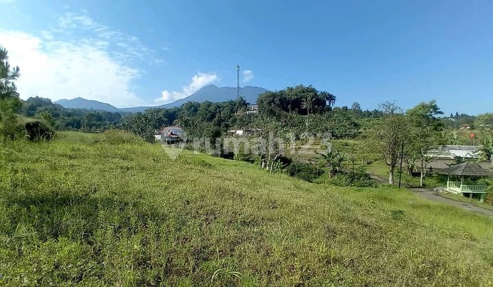 Dijual Tanah Strategis Shm Dicisarua Puncak Bogor