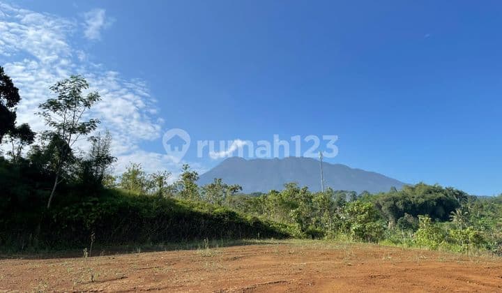 For Sale Land Area 2000m2 In Puncak Cisarua Bogor