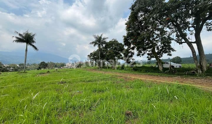 Dijual Tanah Luas 1000m² Shm Dicisarua Puncak Bogor