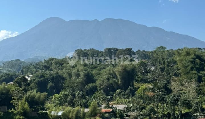 Dijual Tanah Dicisarua Puncak Bogor Siap Bangun