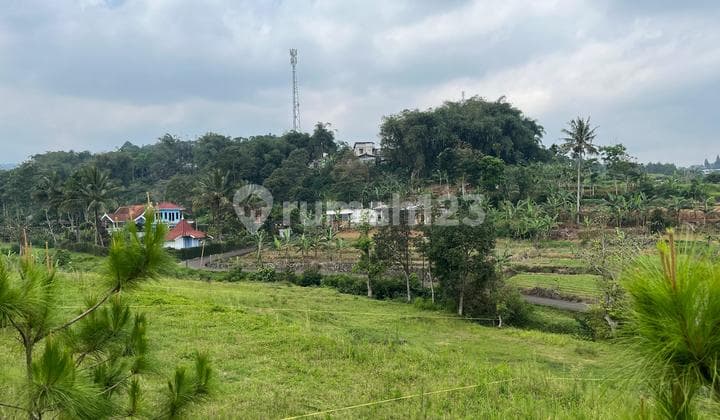 SHM Land For Sale In Cisarua Puncak Bogor Area 946m2