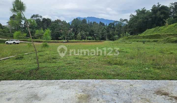 Jual Tanah Hak Milik Shm Luas 500m2 Di Megamendungbogor