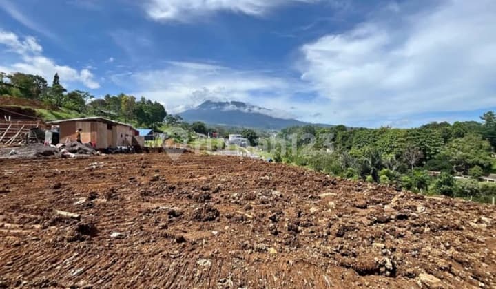 Dijual Tanah Shm Luas 300m2 Dimegamendungbogor