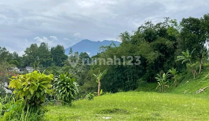 Jual Tanah Luas 1000m2 Di Megamendung Puncak Bogor