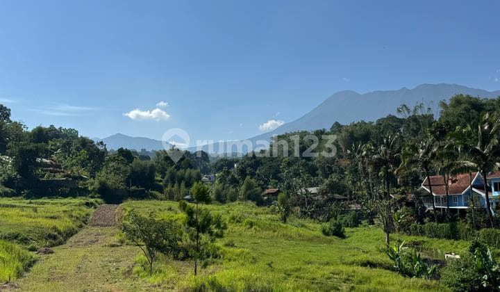 Dijual Tanah Shm Di Cisarua Puncak Bogor