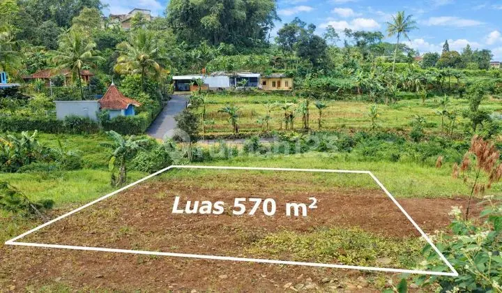 Jual Tanah Pribadi Luas 570 Meter SHM di Cisarua Puncak Bogor