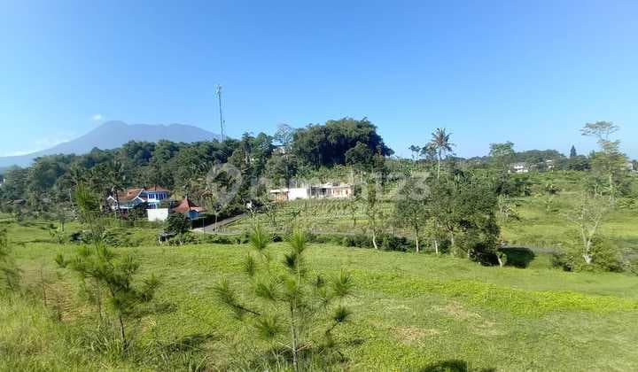 For Sale: 450m² Land in Cisarua, Puncak, Bogor