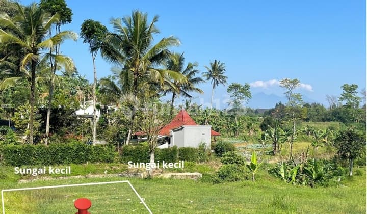 Dijual Tanah Shm Di Cisarua Puncak Bogor