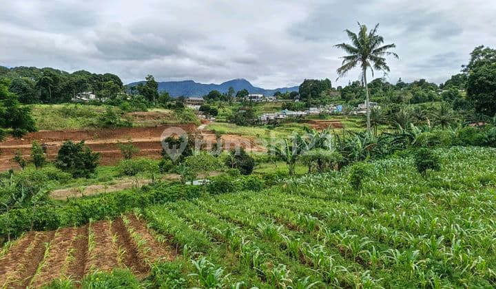 Land for Sale, Perfect for a Family Relaxation Spot