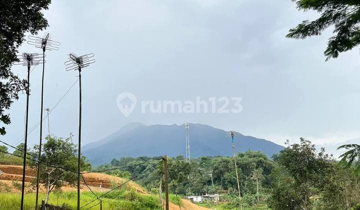 Jual Tanah Hak Milik Shm Dicisarua Puncak Bogor