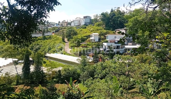 Di Jual Tanah Murah Legalitas Shm Di Megamendung Bogor