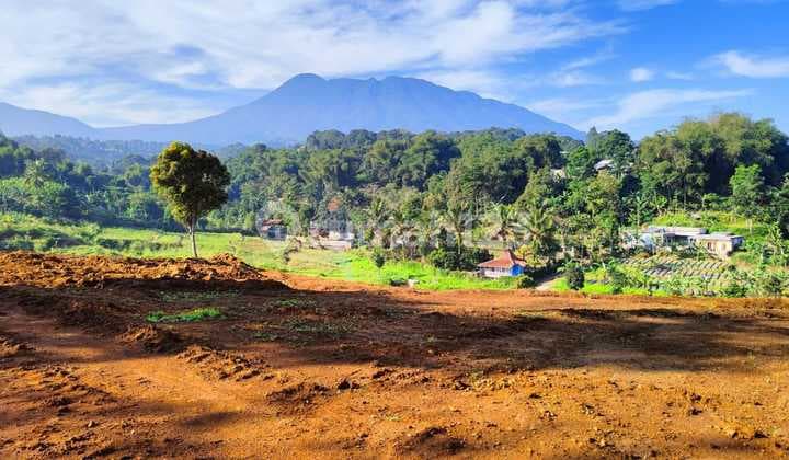 Jual Tanah Dicisarua Puncak Bogor Strategis