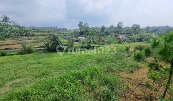 For Sale Strategic SHM Land in Cisarua, Puncak Bogor