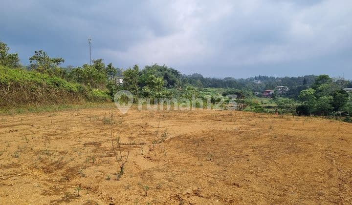Own Freehold Land in Cisarua Puncak Bogor