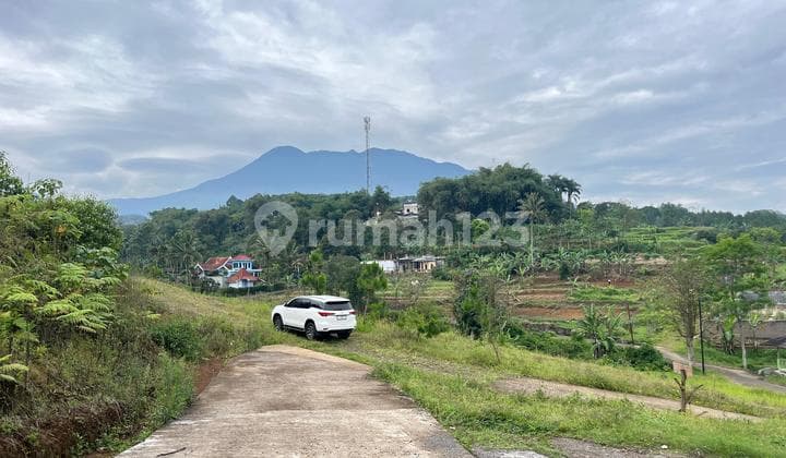 Dijual Tanah Luas 500m2 Di Cisarua Puncak Bogor