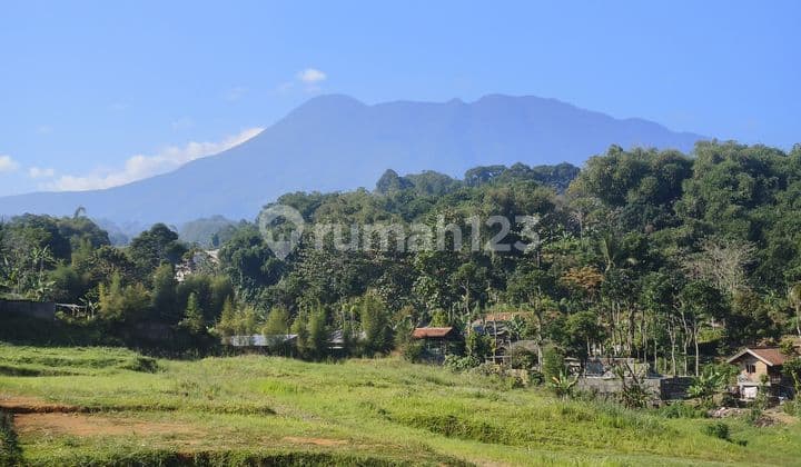 Dijual Tanah Murah Shm Dicisarua Puncak Bogorr
