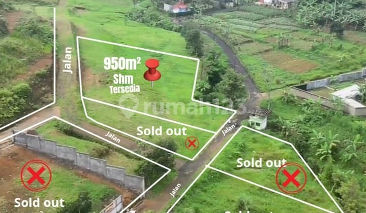 Dijual Tanah Murah Dicisarua Puncak Bogor