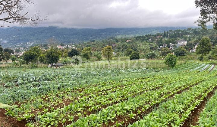 Dijual Tanah Di Cisarua Puncak Bogor Siap Bangun Shm