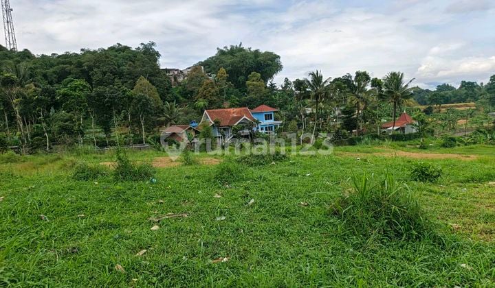 Dijual Tanah Luas 440M² di Cisarua Puncak Bogor