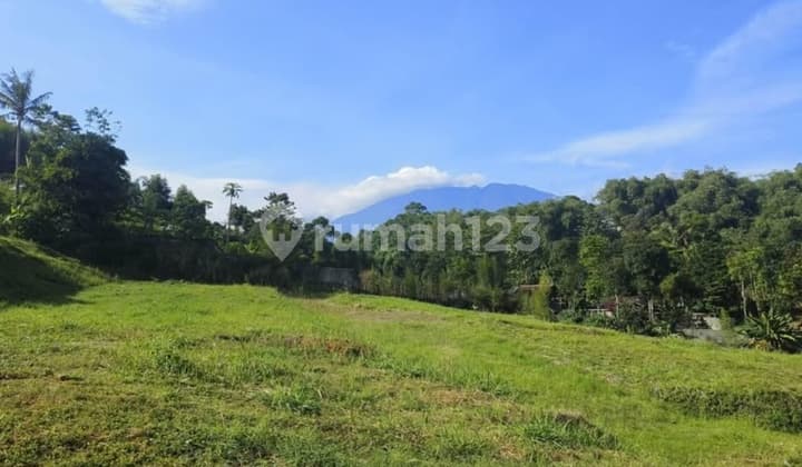 Jual Tanah.siap Bangun Dicisarua Puncak Bogor