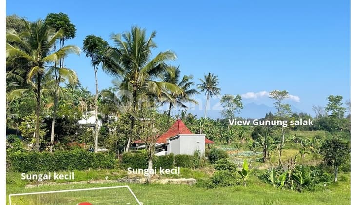 Jual Tanah Murah Dicisarua Puncak Bogor Legalitas SHM