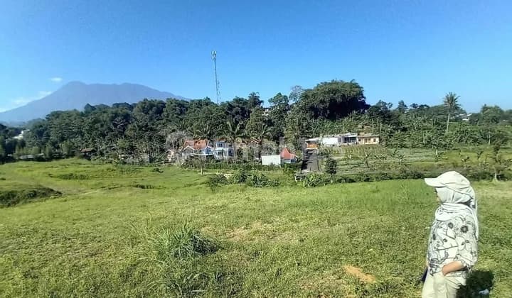 Tanah Dicisarua Puncak Bogor SHM Dijual