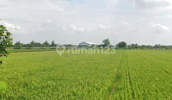 Tanah Murah Sragen Cocok Untuk Pabrik Karanganyar